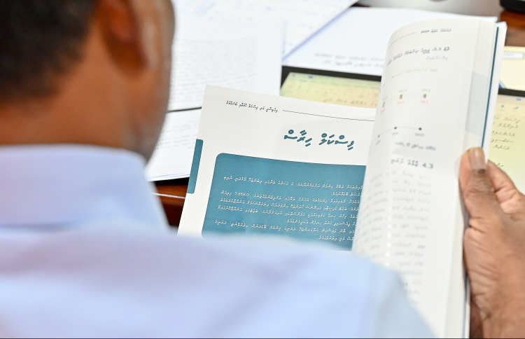 ޕްލޭނާ އެއްގޮތަށް ރިފޯމް ގެނެވޭނެ ގޮތެއް ނެތް؟