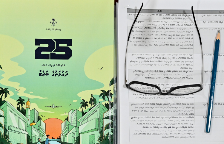 ބަޖެޓް 2025: ގޮންޖެހުން ބޮޑު އަހަރަކަށް ވެދާނެ!