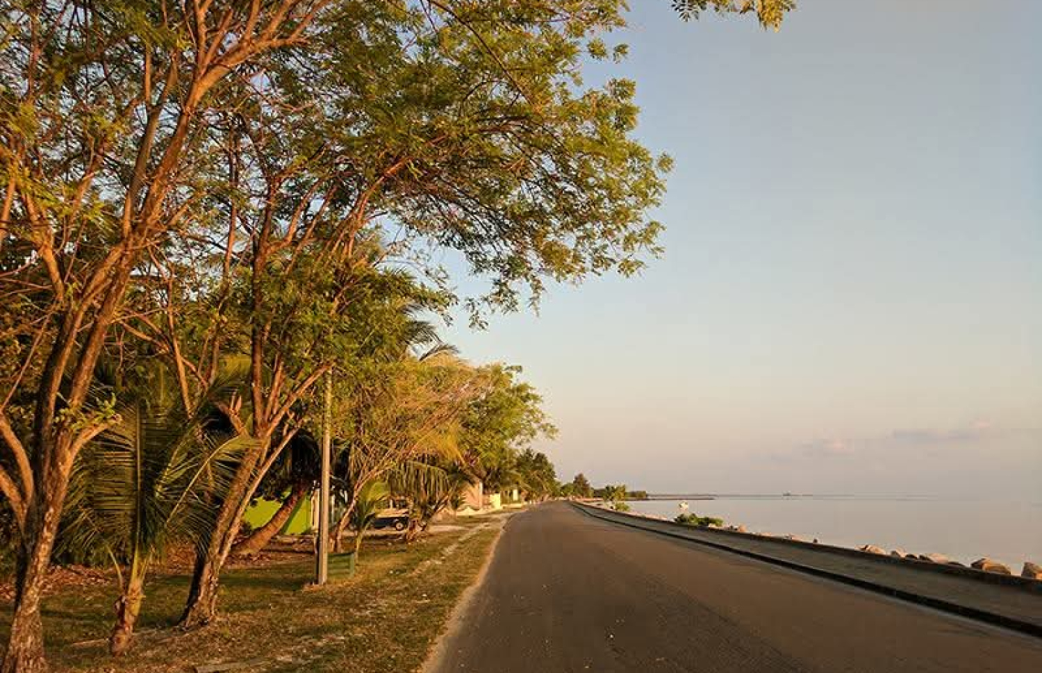 އައްޑޫގެ ލިންކް ރޯޑުގައި ހުރި ގަސްތަކެއް: އައްޑޫން ގަސް ކެނޑުން "ހައްދުން ނެއްޓުމުން" ޖަމިއްޔާތަކުން ވަނީ ކަންބޮޑުވުން ފާޅުކޮށްފައި.-- ފޮޓޯ: އަހްމަދު ޒާހިދު