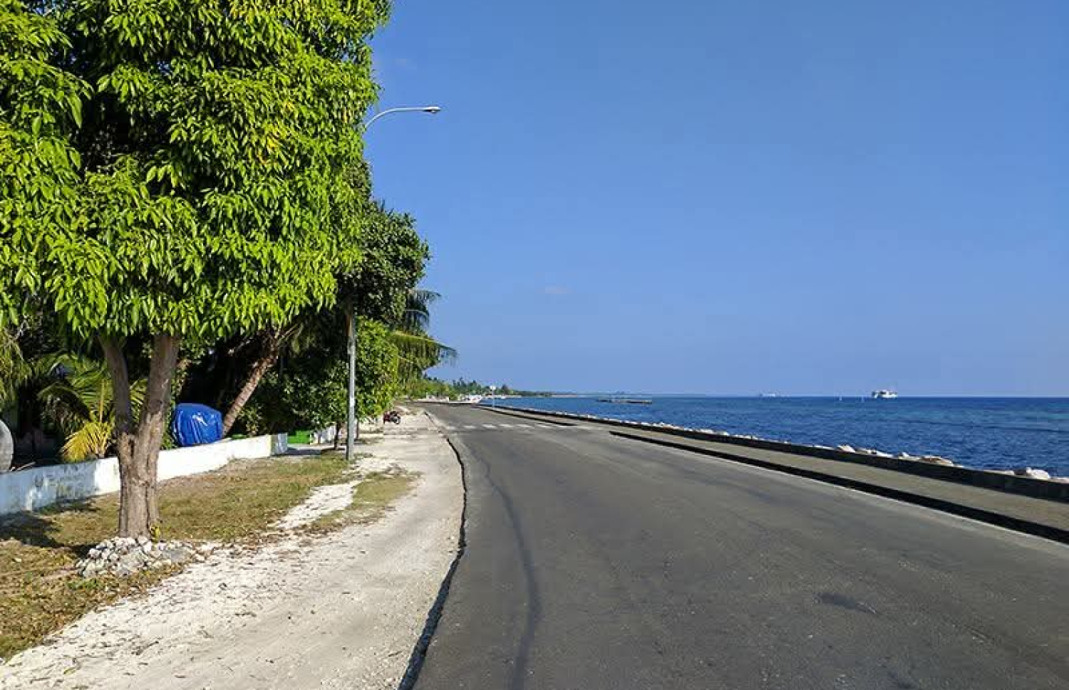 އައްޑޫގެ ލިންކް ރޯޑުގައި ހުރި ގަސްތަކެއް: އައްޑޫން ގަސް ކެނޑުން "ހައްދުން ނެއްޓުމުން" ޖަމިއްޔާތަކުން ވަނީ ކަންބޮޑުވުން ފާޅުކޮށްފައި.-- ފޮޓޯ: އަހްމަދު ޒާހިދު