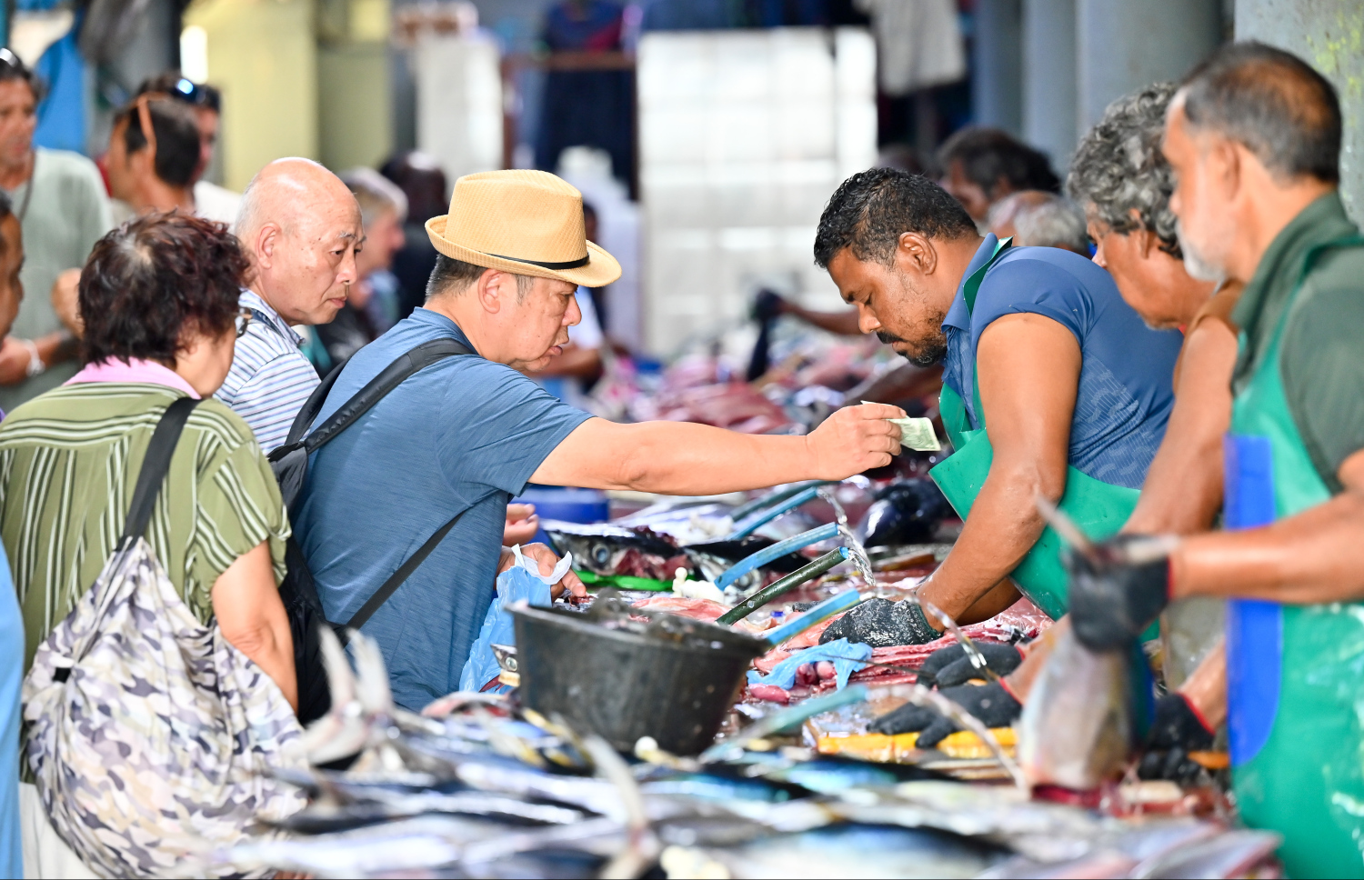 މިހާރު މާލެ އައިސް އުޅޭ ކްރޫޒްލައިނާއަކުން މާލެ ފޭބި ޓޫރިސްޓަކު މަސް ކަނޑާ މީހަކަށް ފައިސާ ދެނީ.---ފޮޓޯ: ނިޝާން އަލީ| މިހާރު