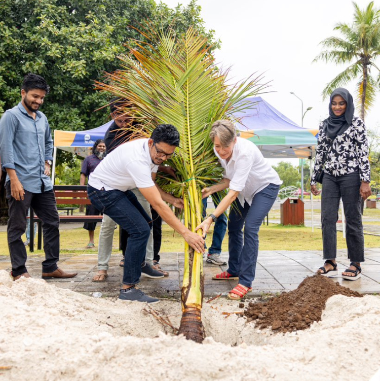 ސަފީރު ގޭގައި ބޮޑުކުރި ރުއް ހުޅުމާލޭގައި އިންދައިފި