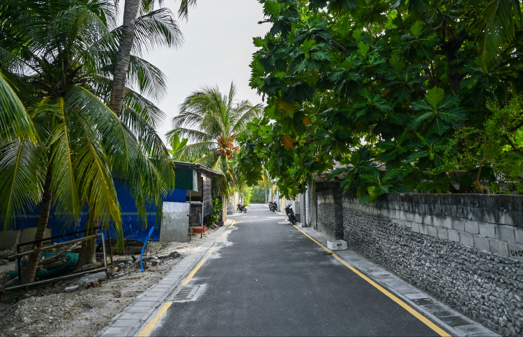 ތިނަދޫ އެކްސިޑެންޓުގައި އަނިޔާވި މީހާ ނިޔާވެއްޖެ