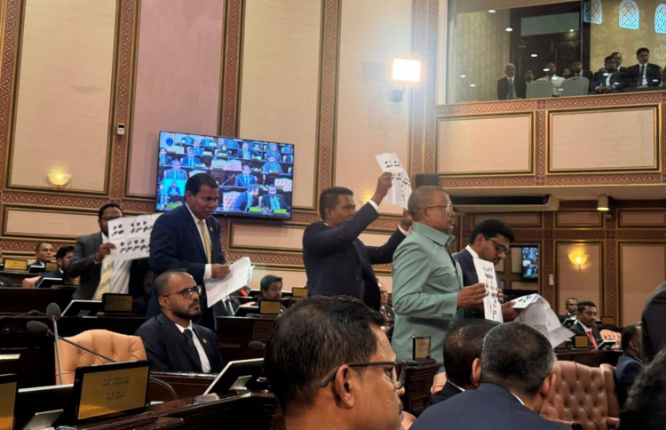 ރިޔާސީ ބަޔާނަށް ހުރަސްއެޅި މެމްބަރުން ނެރެފި