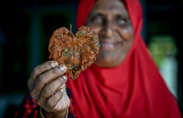 ބ.ދަރަވަންދޫ އާމިންދައްތަ އައްތަ ޕާޕަރެއް ދައްކާލަނީ. -- ފޮޓޯ:ނިޝާން އަލީ / މިހާރު