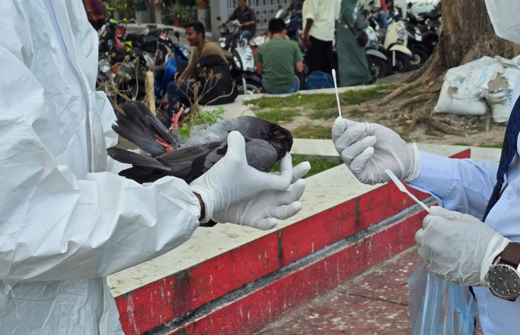 "ކޮތަރުތަކަށް ޖެހުނީ ނޭވާލާ ނިޒާމަށް ޖެހޭ ބައްޔެއް"