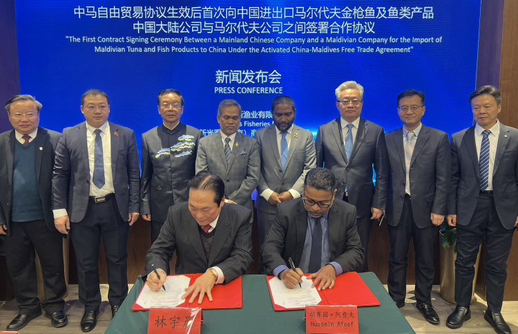 އެފްޓީއޭގެ ދަށުން އެންސިސްގެ އުފެއްދުންތައް ޗައިނާއަށް