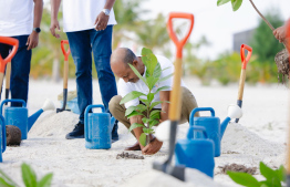 Tree planting held at Kudagiri to commemorate two years of Kudagiri