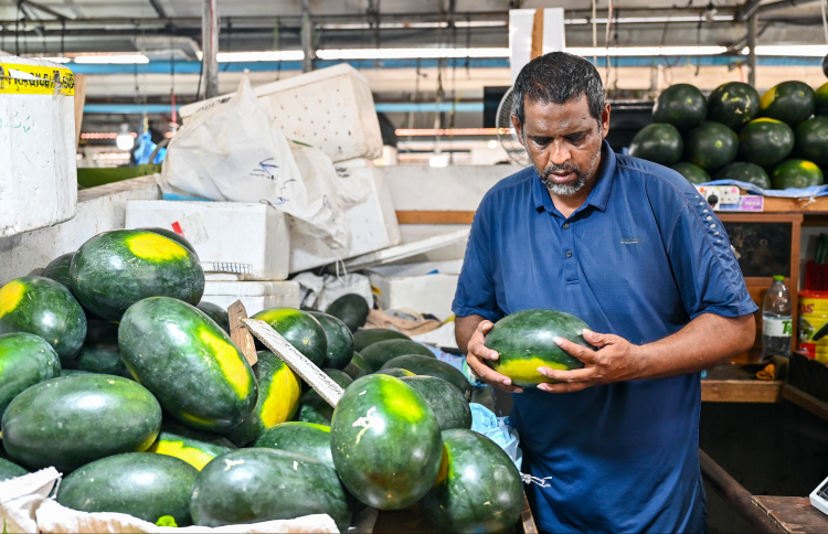 ރޯދައަށް ތޮއްޑޫ އިން 600 ޓަނުގެ ކަރާ ހައްދައިފި