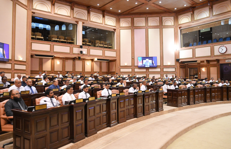 އިޒްރޭލު ޕާސްޕޯޓުގައި އެތެރެނުވެވޭ ގޮތަށް ފާސްކޮށްފި