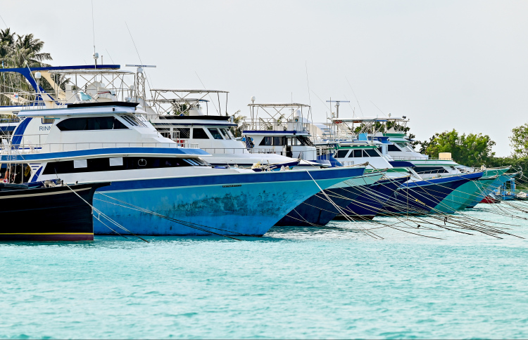 ކުޑަހުވަދުއަަށް ކުރިމަގެއް އޮތީ އާބާދީ އިތުރުކޮށްގެން!