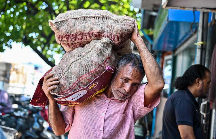 މޫސުން ގޯސްވެ، ބާޒާރުން ފިޔާ ހުސްވެއްޖެ