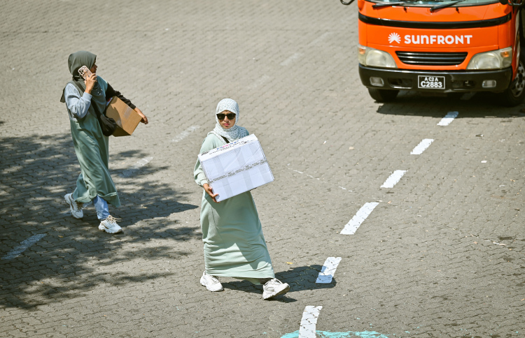 ފިޗުން ރާއްޖޭގެ ރޭޓިން "ސީސީ" ގައި ދަމަހައްޓައިފި