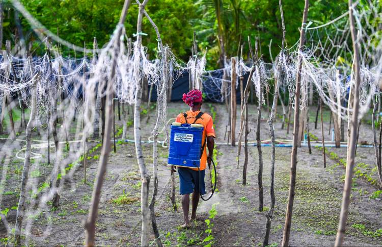 ޗައިނާއިން ރާއްޖެއަށް ދަނޑުވެރިކަމުގެ ސާމާނު ދީފި