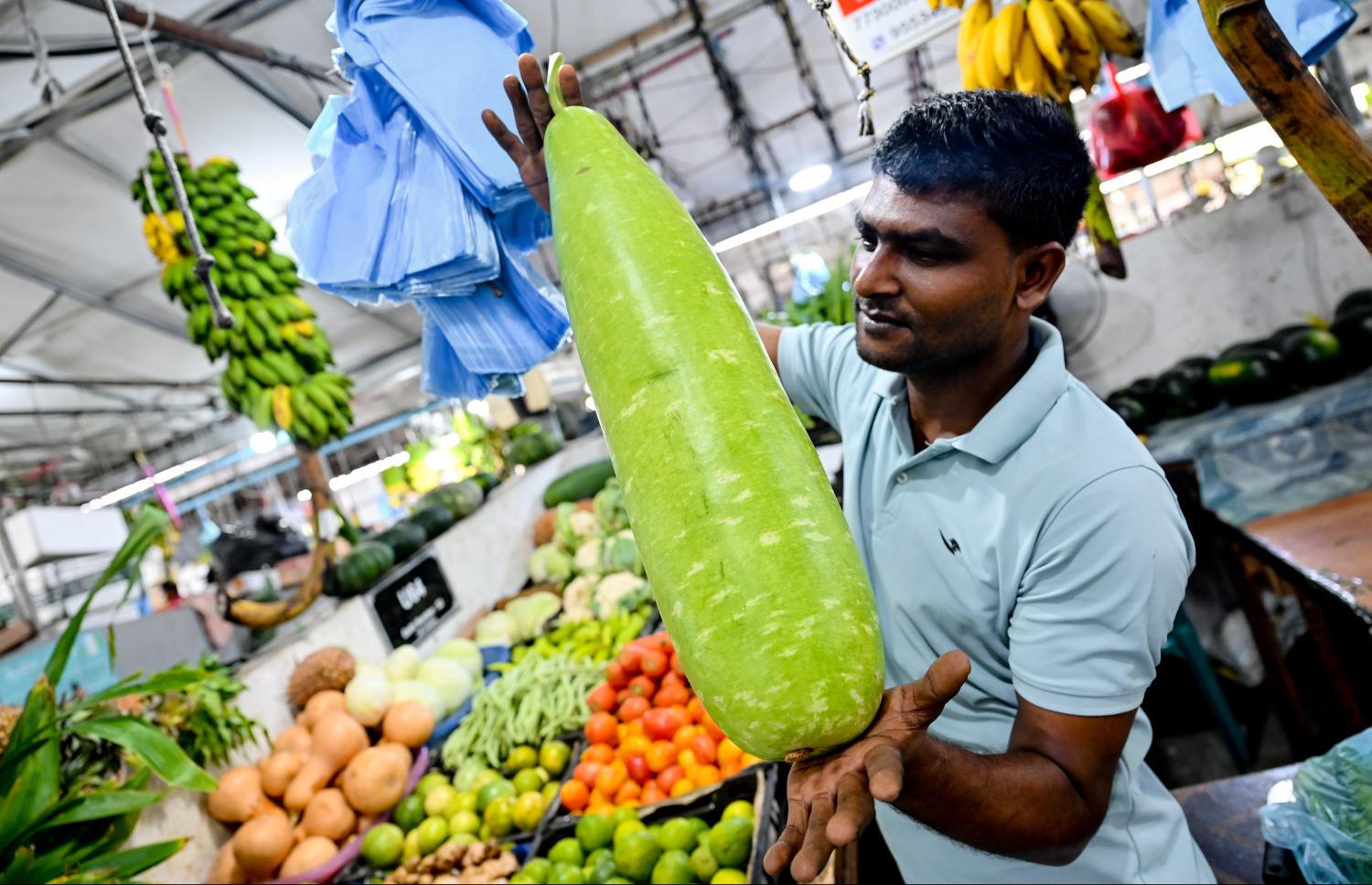 މާލޭގެ ލޯކަލް މާރުކޭޓުގައި ވިއްކަން ބަހައްޓާފައި ހުރި ގިއްސާއެއް ދައްކާލަނީ: އެ ތަރުކާރީ ބޭނުންކޮށްގެން ރިހަ އާއި މަސްހުނި ހެދޭނެ.--- ފޮޓޯ: ނިޝާން އަލީ / މިހާރު