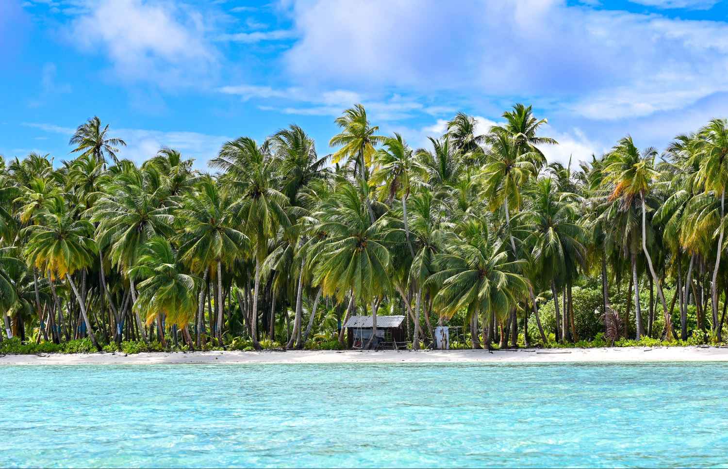 ގދ. އެހިވަކާގެ މަލަމަތި: މި ރަށުގެ ހޭޅިފަށުގައި ގިނައިން ހެދިފައި ހުރީ ދިވެހި ރުއް.-- ފޮޓޯ: ފަޔާޒް މޫސާ | މިހާރު