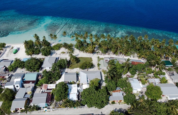 ހާތިމް މި ނުކުތީ ރިނބުދޫ ފަޅުވިޔަނުދީ ދިރުން ގެންނަން