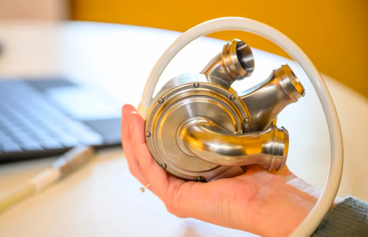 ޓައިޓޭނިއަމް ހިތެއްގައި 100 ދުވަހު ދުނިޔޭގައި