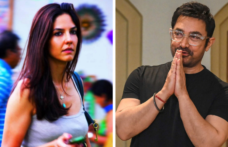 އާމިރް އާ ލޯބިވެރިޔަކު ހޯދައި އެދުނީ އޯގާތެރިވާން