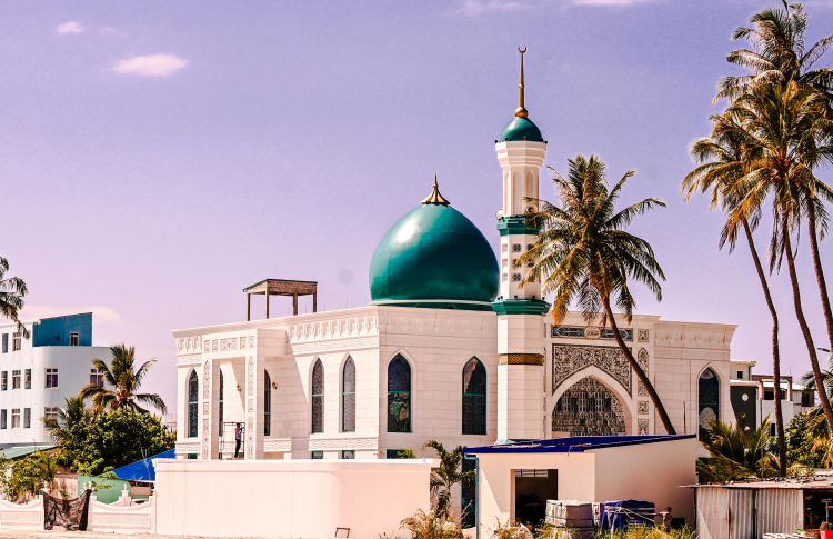 އޭދަފުށީގެ ލޭންޑްމާކަކަށް އެންމެ ރީތި މިސްކިތް