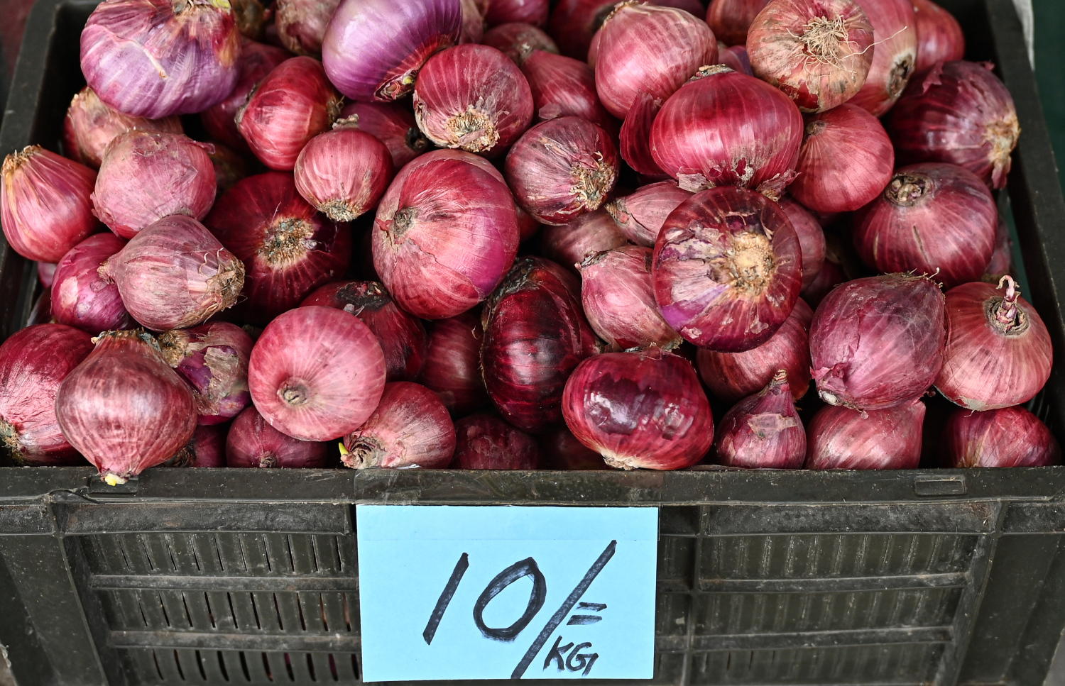 ފިޔާ ކިލޯއެއް ބާޒާރުގައި ލިބެން ހުރީ 10ރ. އަށް -- ފޮޓޯ: ނިޝާން އަލީ / މިހާރު