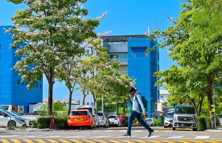 މަގު ހުރަސްކުރަނިކޮށް ސައިކަލަކުން ޖެހި އަނިޔާވެއްޖެ