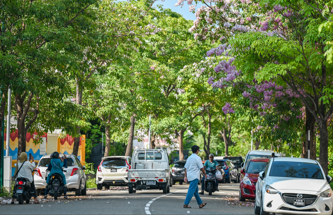 Hulhumale' in karantu kendunu thanthanah alun hidhumaiy dheyn fashaifi