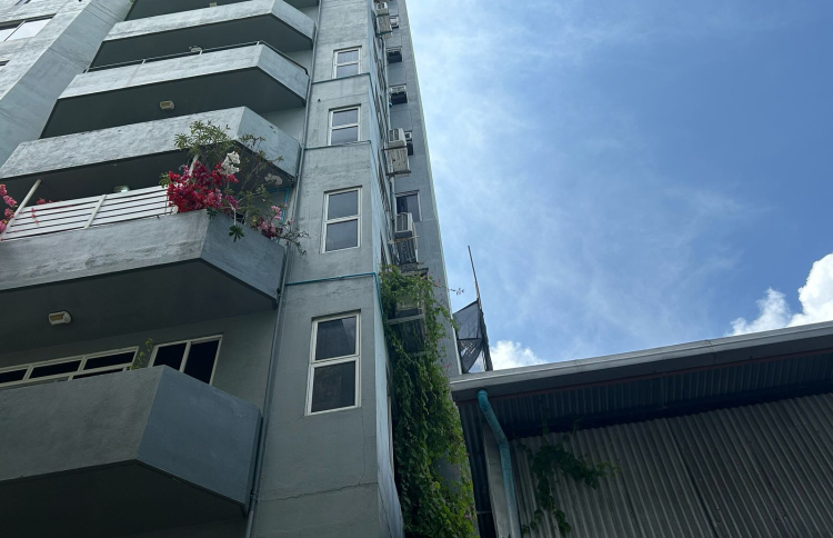 "ނޫސްވެރިން ފެންޓެނޯއީގެއަށް ވަންނަން ހުރަހެއް ނެތް"