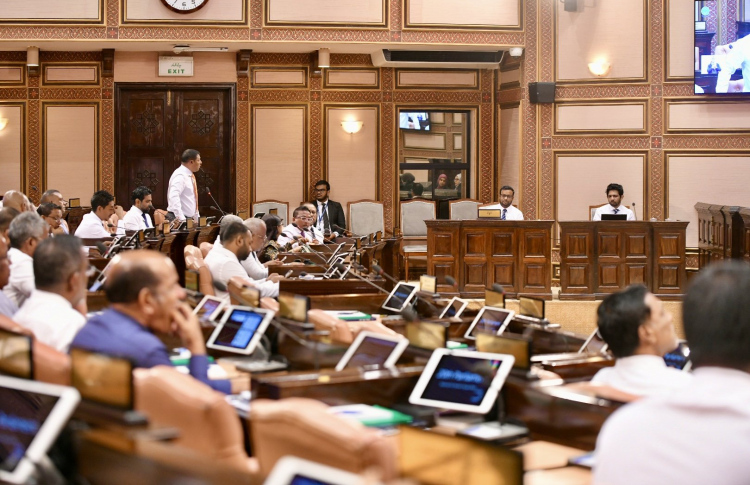 ދުންފަތުގެ ބިލް ބަލައިގަނެ، ވަގުތީ ކޮމިޓީއަކަށް