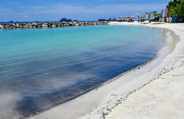 ރަސްފަންނު މޫދުގައި ކަޅުތެޔޮ، މޫދަށް ނޭރެން އެދެފި