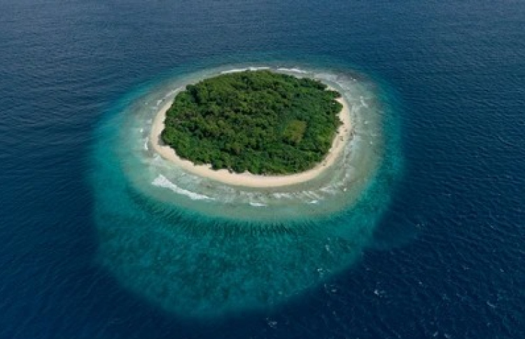 ހިރިނައިދޫ، ނެއްލައިދޫ ރައްޔިތުންނަށް ދީފި