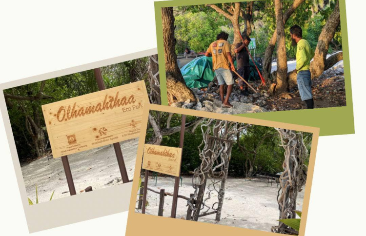 އެލައިޑް ދެ ފަންޑަށް ކުރިމަތިލާން ހުޅުވާލައިފި