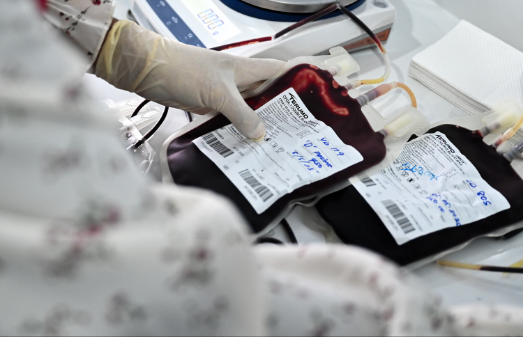 ތެލަސީމިއާ ކުއްޖަކު ލިބިދާނެ ކައިވެނި ހުއްޓުވުމުގެ ބަހުސް