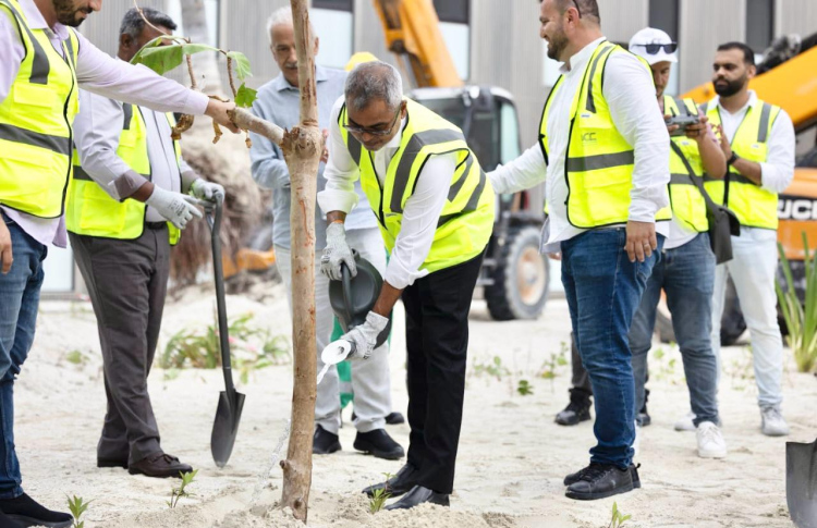 ރަންފަރު ރިސޯޓުގައި 1.4 މިލިއަން ގަސް އިންދަނީ