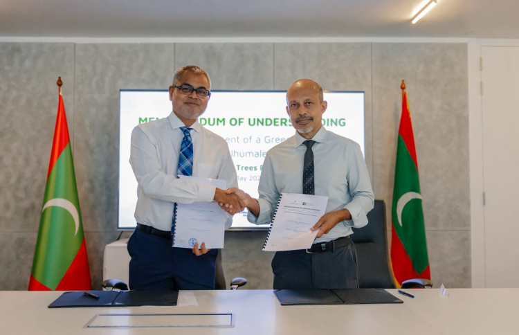 ފަރުކޮޅުފުށީގައި ގްރީން ނާސަރީއެއް ތަރައްގީކުރަނީ