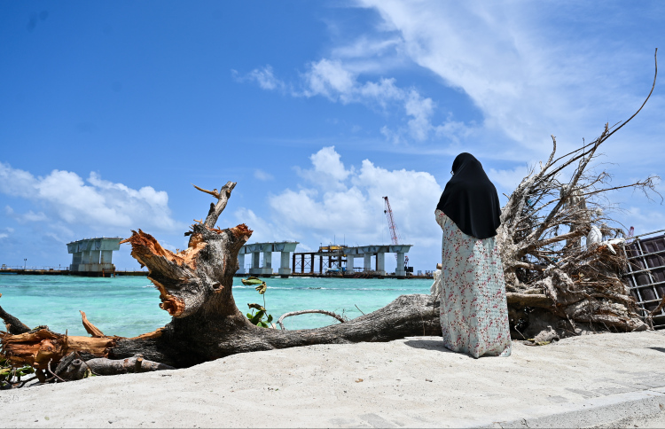 ބަލަން ހުއްޓާ ވެއްޓުނީ އަމިއްލަ އަތުން އިންދި ގަސް!