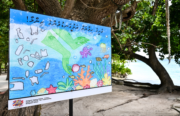 ޕްލާސްޓިކުގެ ބަދަލުގައި ބޭނުންކުރާނެ ތަކެތީގެ ދިރާސާއެއް