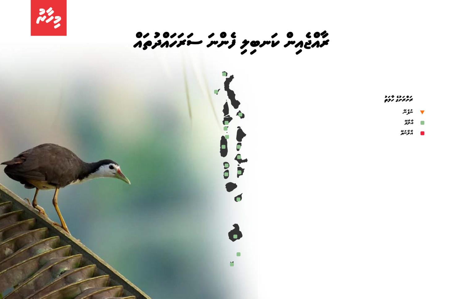 ރާއްޖެއިން ކަނބިލި ފެންނަ ސަރަހައްދުތައް | މައުލޫމާތު: ދިވެހިރާއްޖޭގައި އާލާވާ ދޫނި އަދި ހިޖުރަކުރާ ދޫނީގެ ހާލަތު 2025