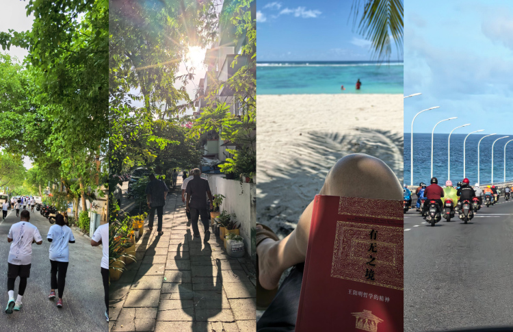 ސަފީރަށް ކޮންމެ ދުވަހަކު ފެންނަނީ އުފާވެރި މަންޒަރެއް