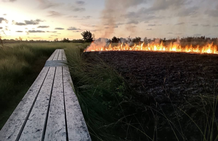 މަތިކިޅިއަށް ގެއްލުންދޭން ރޯކޮށްލި ކަމުގެ ތުހުމަތު