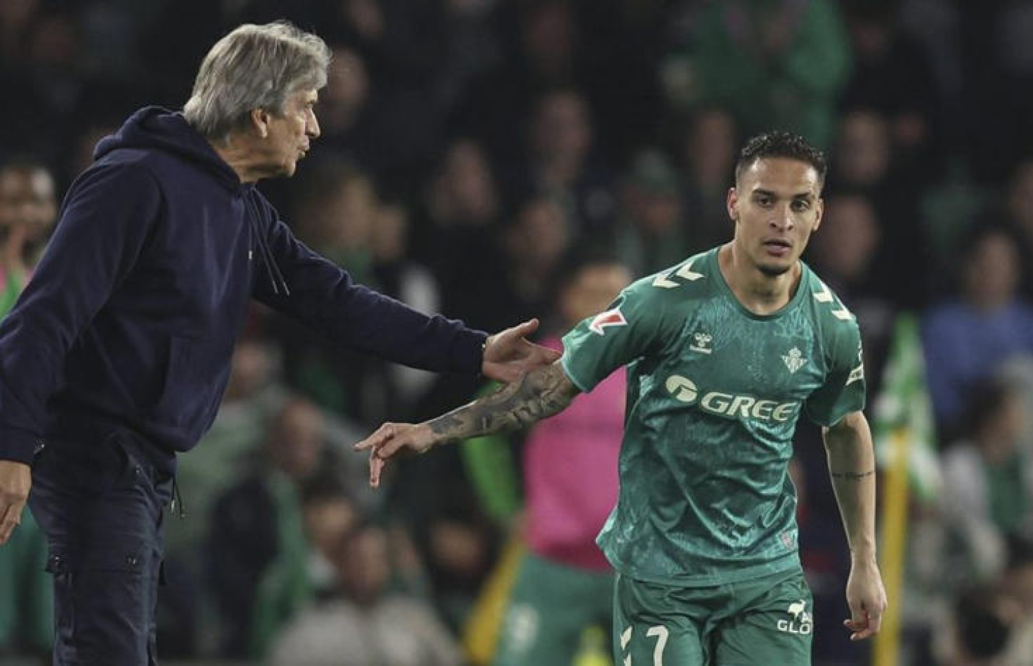 ބެޓިސްގެ މެޗެއްގައި އެންޓޮނީ (ކ) އަށް ޕެލެގްރިނީ އިރުޝާދު ދެނީ