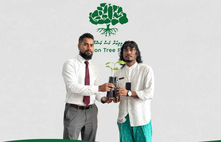 ހައިވަކަރު ގަސްތައް، ގަސް ޕްރޮގްރާމްގެ ލޭންޑްމާކަކަށް