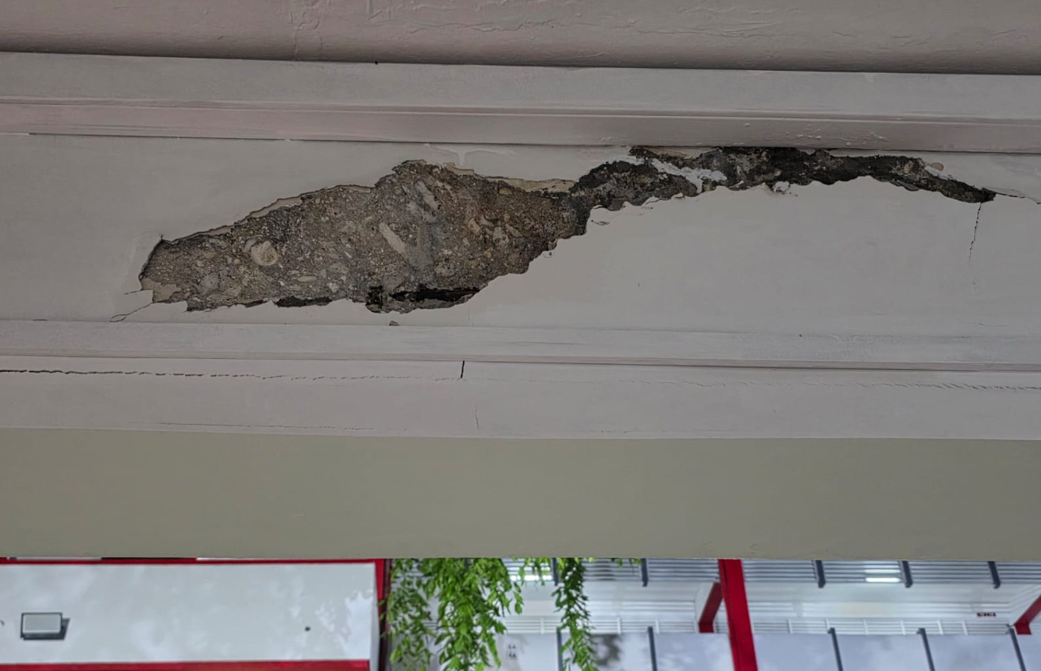 އިސްކަންދަރު ސްކޫލްގައި ވީރާނާވެ، ބޮލަށް ވެއްޓެން ކައިރިވެފައިވާ ދެ ބުރީގެ އިމާރާތުގެ ފުރަތަމަ ފްލޯގެ ޝީޓް ކަނޑައިގެން ގޮސް ވެއްޓެން ކައިރި ވެފައި: މިދިޔަ ނުވަ އަހަރު ވީއިރު ވެސް މި ތަނާ އަޅާލި ބައެއް ނެތް.