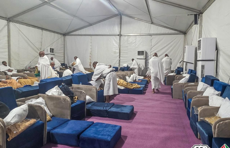 ދިވެހި ހުރިހާ ހައްޖުވެރިން އަރަފާތު ބިމުގައި