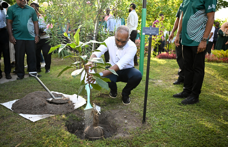 ވެށި ހިމާޔަތްކުރުމަކީ ގައުމީ ޒިންމާއެއް: ރައީސް