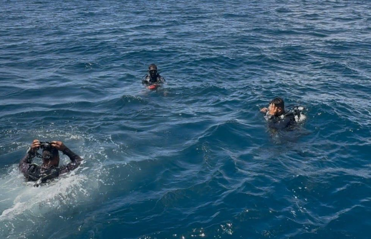 ޖަޕާނުގެ ޓޫރިސްޓު މީހާ މަރުވެފައި އޮއްވާ ފެނިއްޖެ