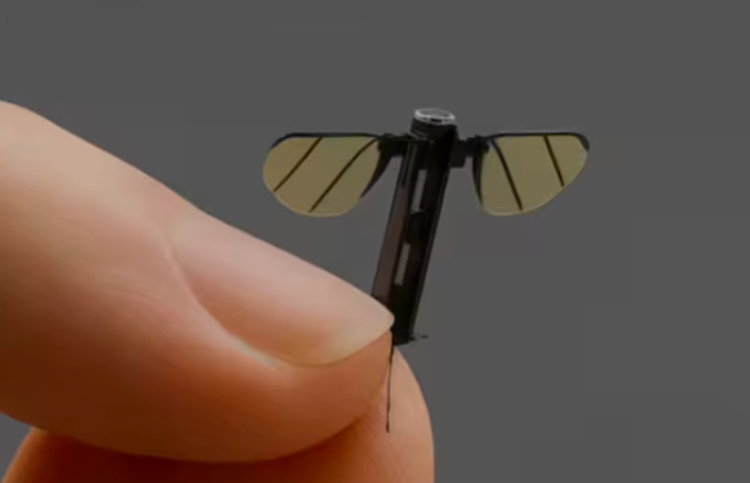 ޗައިނާއިން މަދިރި ސައިޒުގެ މިލިޓަރީ ޑްރޯނެއް ހަދައިފި