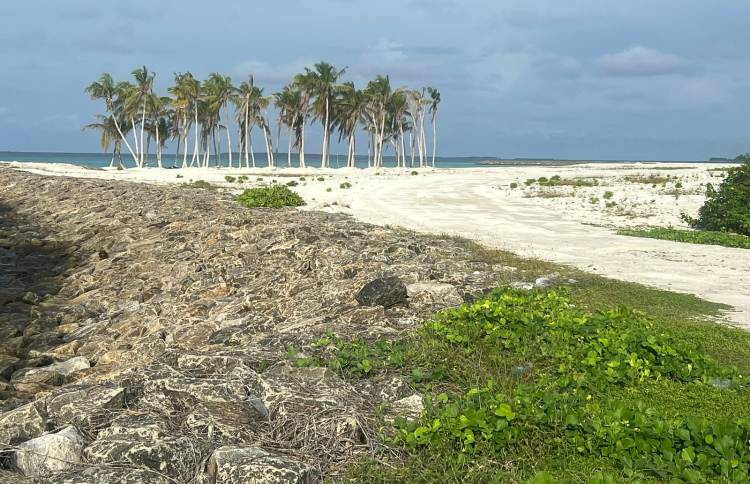 ހަންކެޑެ މަޝްރޫއު ހުއްޓާލުން ގޯސް: އަޒާން