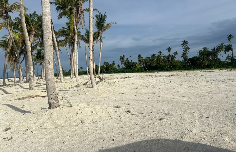 ހަންކެޑެ މަޝްރޫއާ ގުޅިގެން ނިޒާރުގެ ކަންބޮޑުވުން