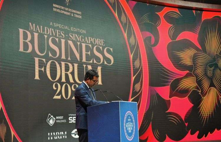 ބިލިއަންޑޮލަރުގެ އިންވެސްޓްމަންޓުން ބޮޑު ބައެއް ކާމިޔާބު